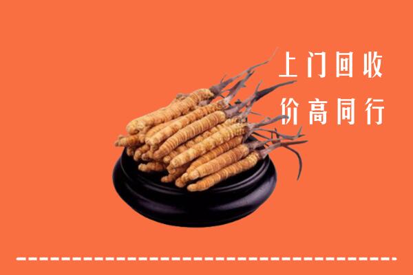 高价求购：沅陵县回收散虫草
