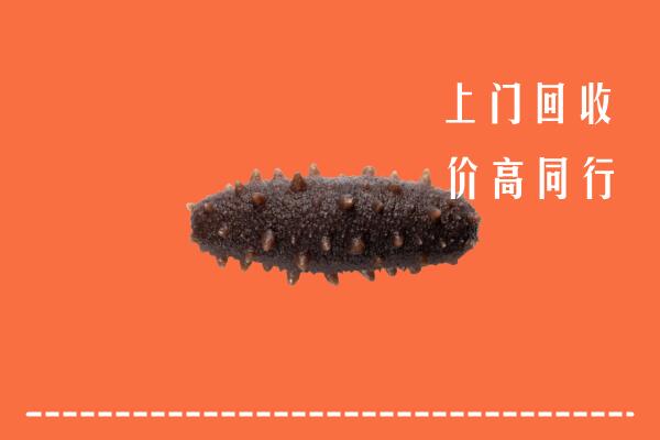高价求购：沅陵县回收海参