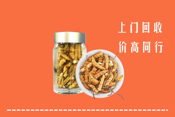 收购行情：沅陵县回收冬虫夏草
