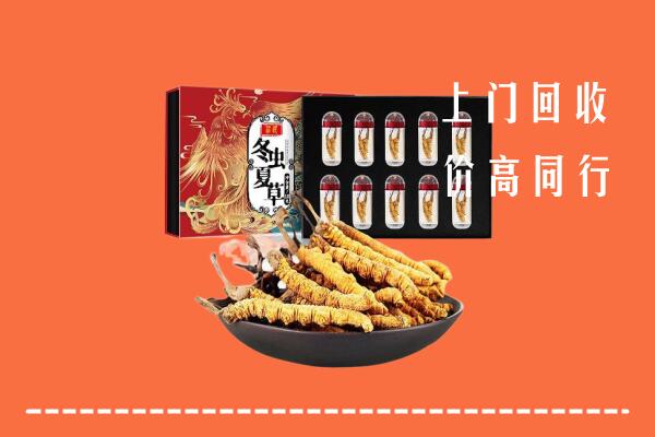 收购行情：沅陵县回收虫草